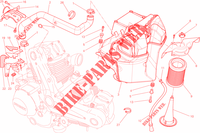 INTAKE for Ducati Monster 659 ABS Learner Legal (LAMs) 2014